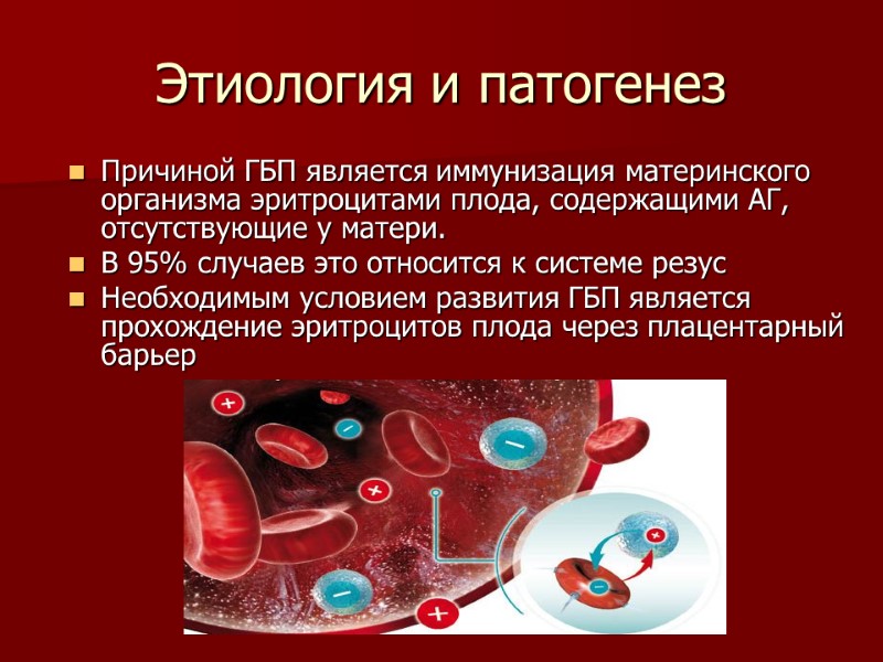 Этиология и патогенез Причиной ГБП является иммунизация материнского организма эритроцитами плода, содержащими АГ, отсутствующие